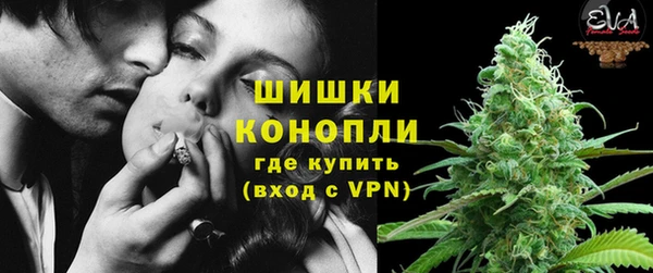 дмт Арсеньев