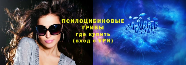 apvp Армянск