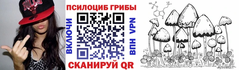 где купить наркотик  Саров  Галлюциногенные грибы мицелий 
